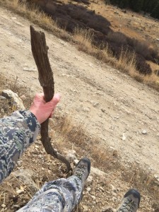 Mike found a stick to assist with my mile-long 60ish-degree downward slope back to the 4-Runner.