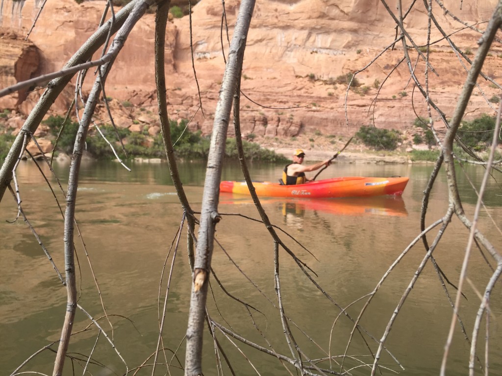 Mike leaves me in my safety thicket...if I let go, I'll be whisked back to shore in no time!