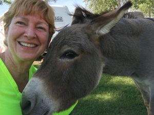 She only loved me for my carrots.