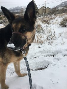 snow-nose